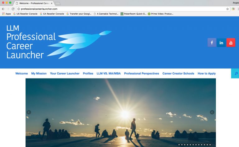 Professional Career Launcher Website